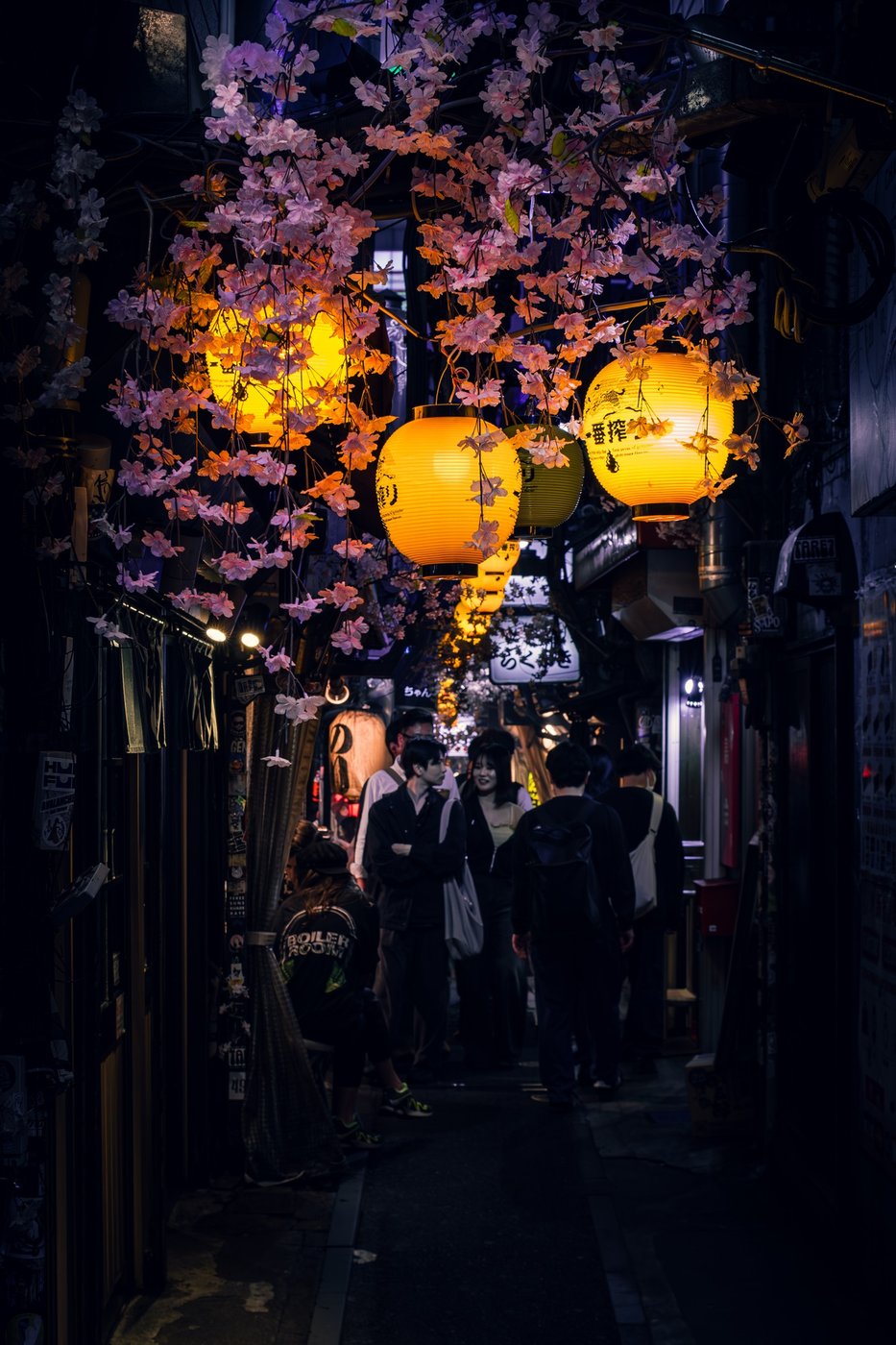 Sakura at Night, Tokyo, 2025, Omoide Yokocho, lanterns and cherry blossom