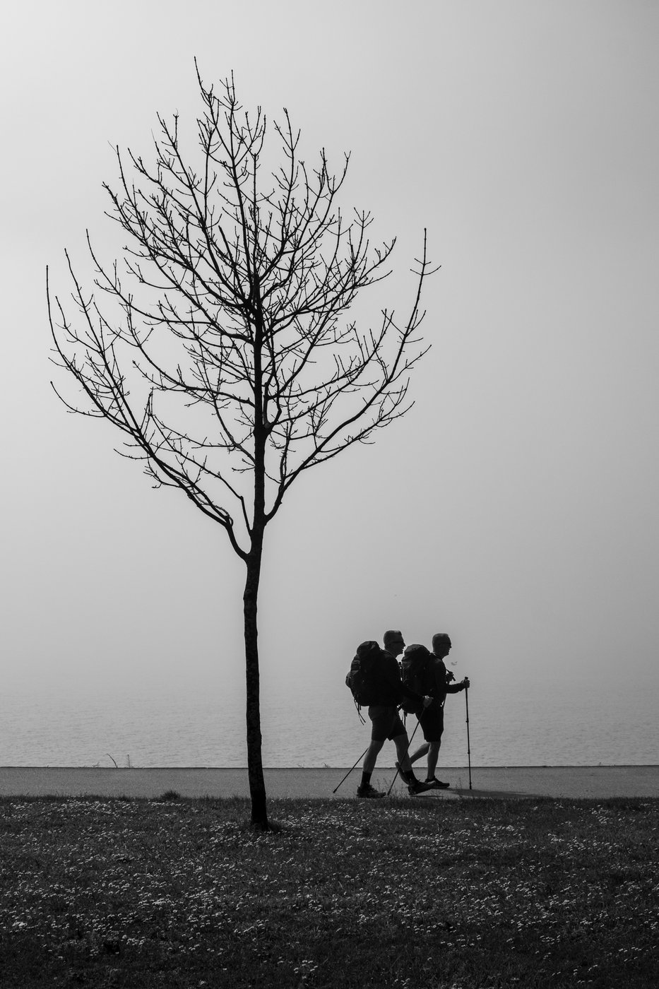 Pilgrims, Porto, 2025, riverside, fog